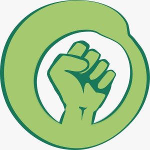 Amigas da Terra Brasil no RS