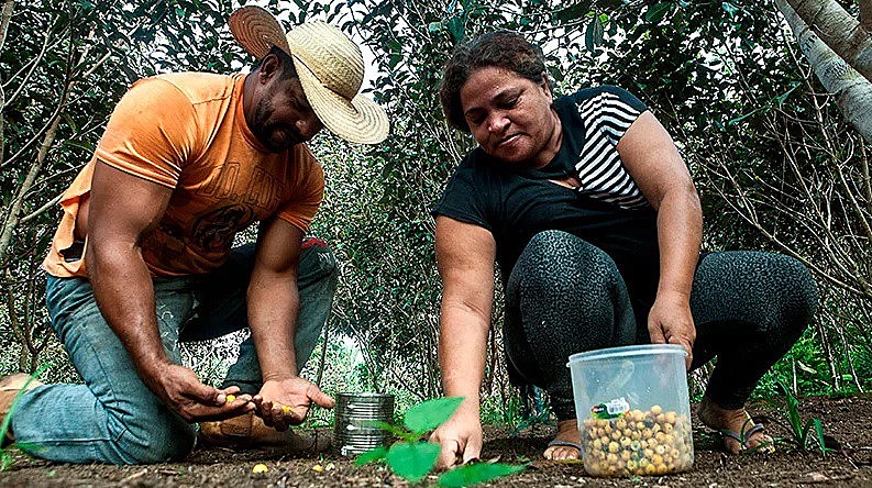 O casal Osvalinda e Daniel vivem no Projeto de Assentamento Areia criado pelo Instituto Nacional de Reforma Agrária (Incra) em 1998