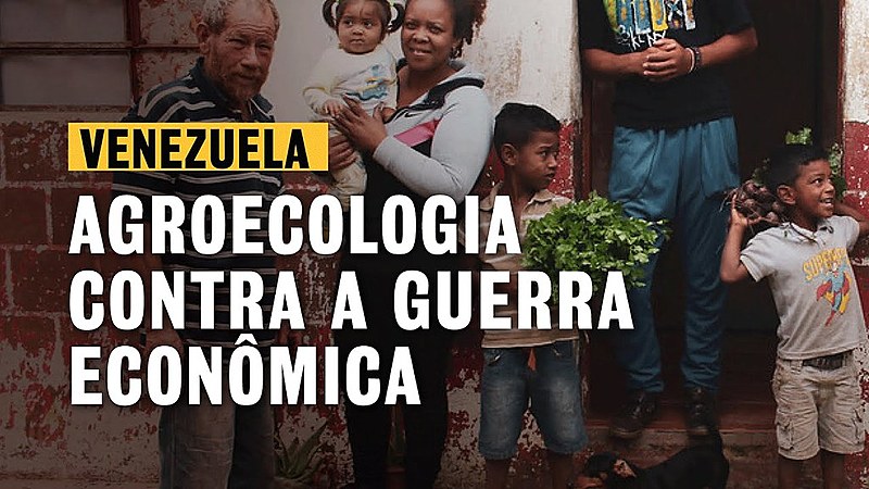 Conheça a Comuna Campesino Hugo Chávez, onde agricultores produzem até três toneladas mensais de alimentos sem veneno
