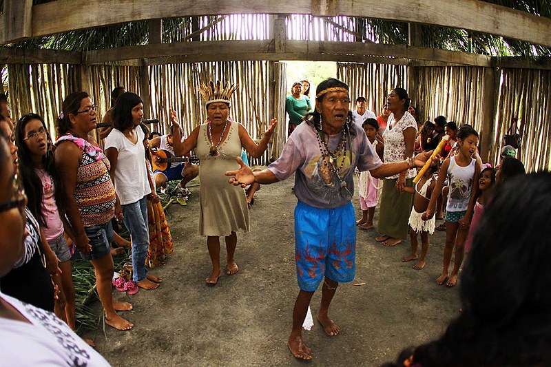 Aldeia Piaçaguera em Peruíbe (SP), homologada nesta segunda-feira (2)