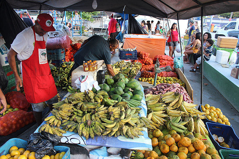 Alvo do presidente eleito, MST é referência internacional na produção de alimentos agroecológicos