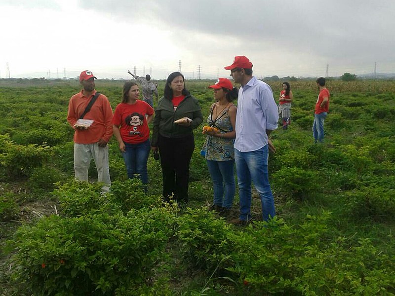 Brigadas dos sem-terra brasileiros desenvolvem trabalhos em agroecologia em três regiões da Venezuela