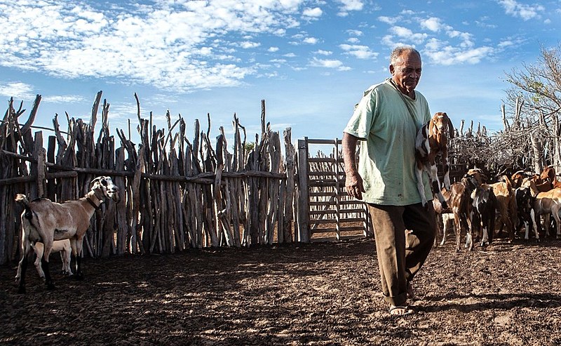 Ao todo, 272 mil agricultores recebem o auxílio no RN