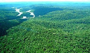 La Reserva Nacional de Cobre es un área de 47 mil kilómetros cuadrados entre los estados de Pará y Amapá, en la región Norte de Brasil