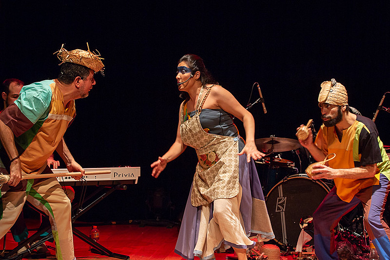 Cada animal da fauna brasileira tem sua história contada de acordo com o ritmo popular da sua região