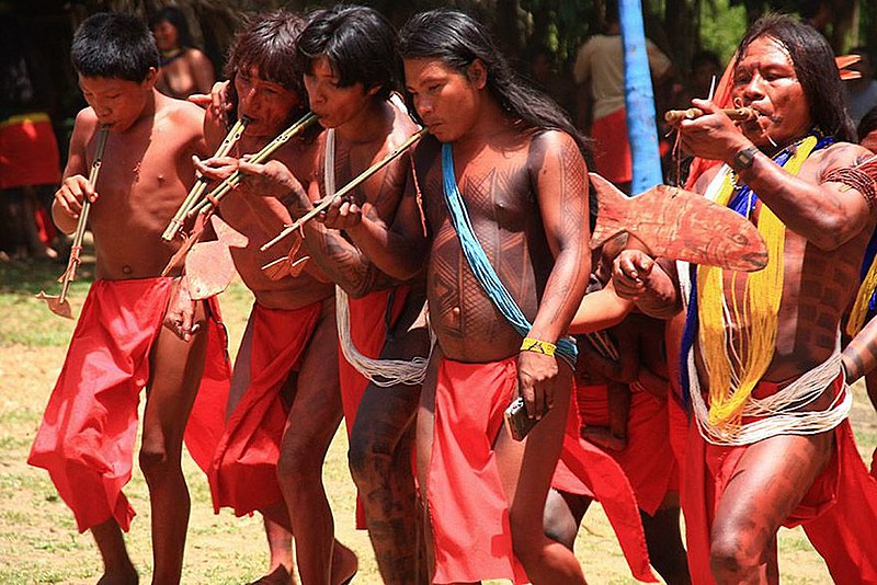 Terra Indígena Waiãpi (TIW), no Oeste do Amapá, é reconhecida oficialmente desde a década de 1990