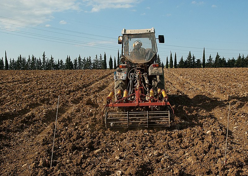 Agricultura familiar é "galinha dos ovos de ouro" do mercado para as máquinas agrícolas