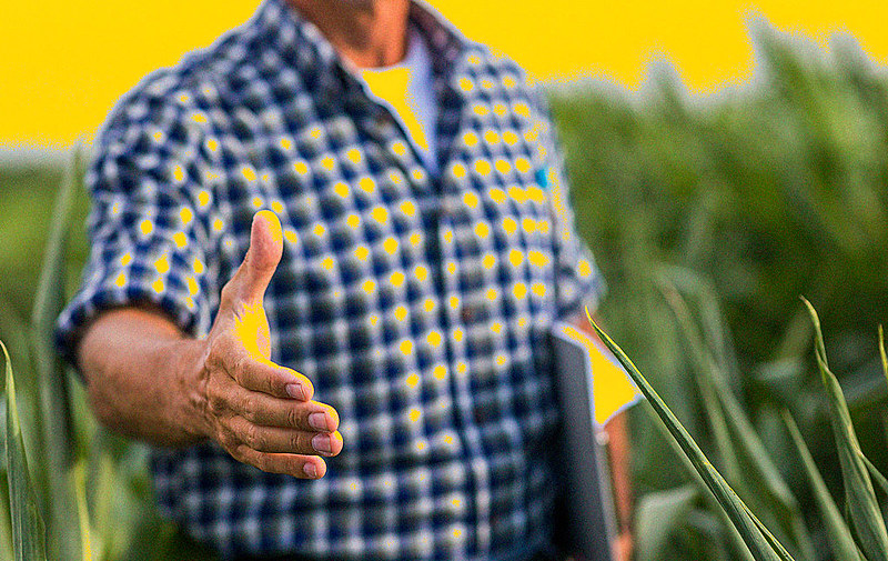 O brancos são maioria no cultivo de soja, café, cana-de-açúcar, criação de bovinos, produção de sementes certificadas e aquicultura