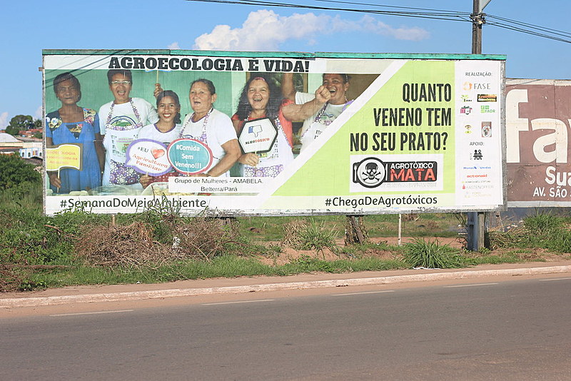 As mulheres da Amabela em outdoors pela cidade de Santarém