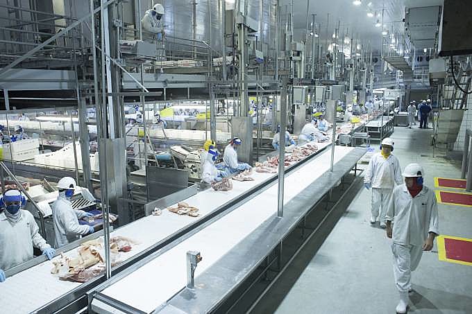 BRF é uma empresa do ramo alimentício, ligado a carnes e alimentos processados