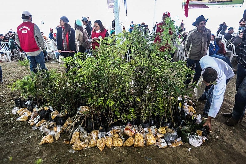Momento da partilha de mudas e sementes, que acontece sempre no último dia da Jornada de Agroecologia