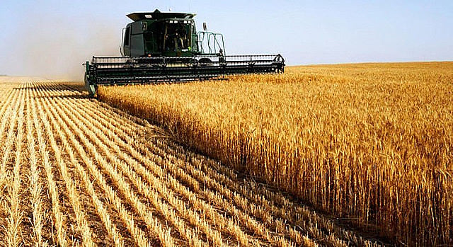 Market concentration and increasing monoculture production are threatening food sovereignty around the world, report shows