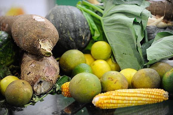 Estudo revela  que o  Brasil produz  mais que o suficiente para alimentar sua população, mas a desigualdade de renda e o desperdício fazem com que 7,2 milhões ainda sejam afetadas pelo problema