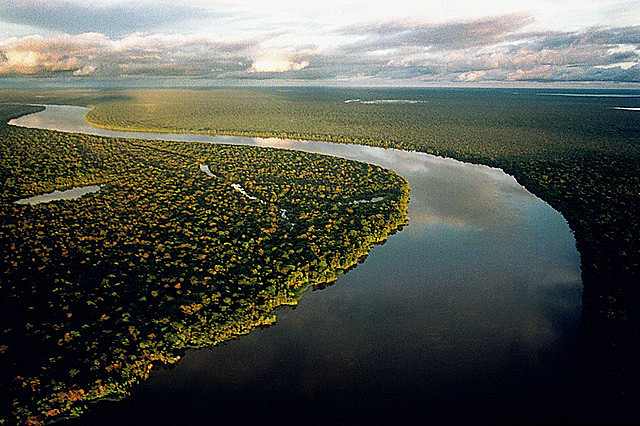 International experts are concerned about what could happen to the Brazilian Amazon if Bolsonaro wins tomorrow