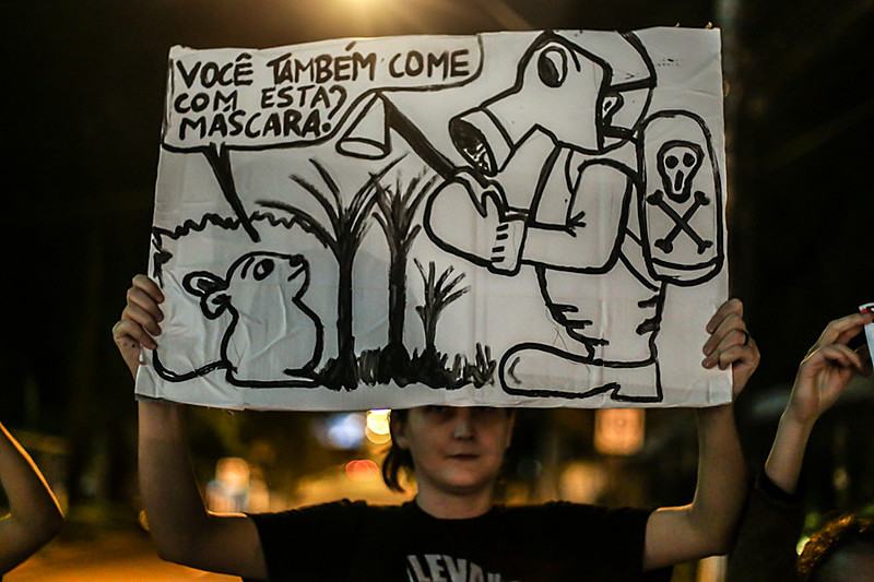É importante lembrar que está em curso o processo de compra da Monsanto, dos EUA, pela Bayer, da Alemanha.