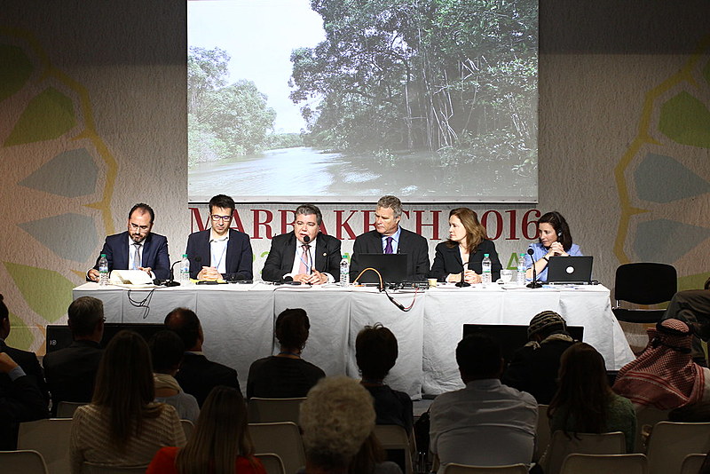 Delegação brasileira discute mercado de créditos de carbono na COP22