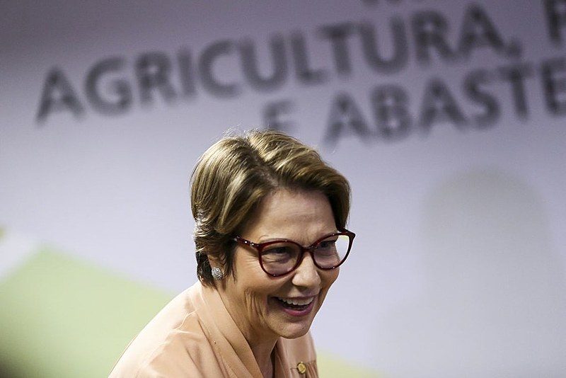 Tereza Cristina (DEM-MS) é presidente da bancada ruralista e deverá ter papel estratégico no governo Bolsonaro