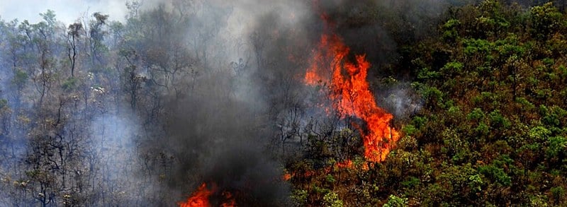 Segundo Corpo de Bombeiros, entre os dias 1º e 15 de outubro de 2019, houve mais incêndios de vegetação do que no mesmo período de 2018