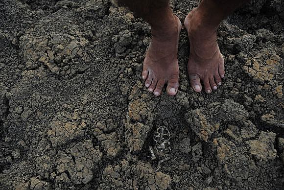 Estiagem no reservatório da comunidade em Quixadá, sertão do Ceará