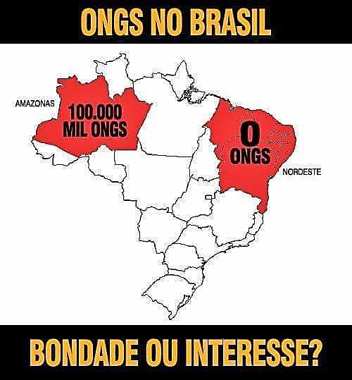 Para tentar "abafar" notícias sobre queimadas, oposição disparou fakenews sobre ONGs na Amazônia e de novo voltou seu alvo para o PT