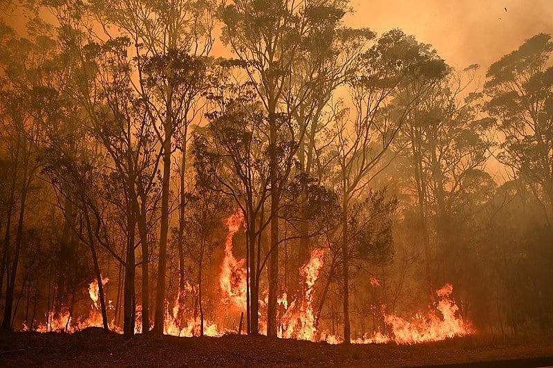 Incêndios na Austrália já atingiram mais de 5 milhões de hectares