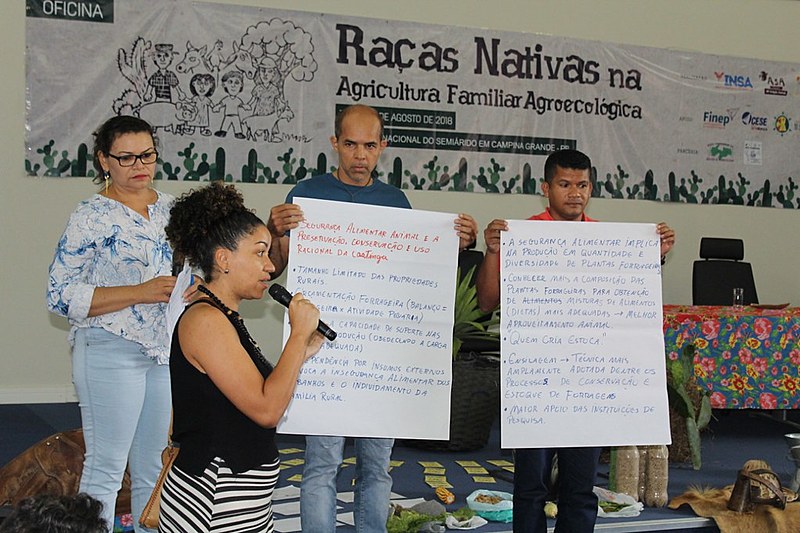 A oficina se realizou no Instituto  Nacional do Semiárido reuniu diferentes gerações de homens e mulheres do campo.