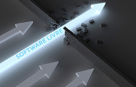As linguagens de Software Livre eram utilizadas para construir a Internet atual