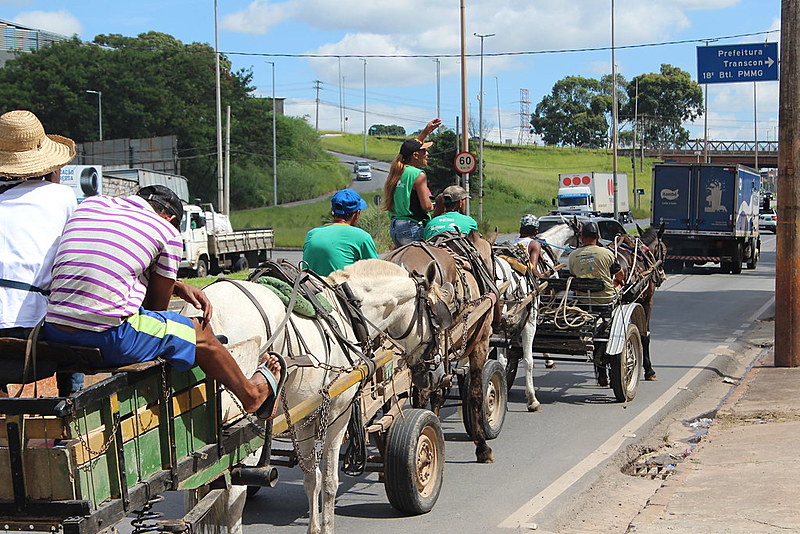 Carroceata reuniu centenas de trabalhadores que defendem o direito de trabalhar