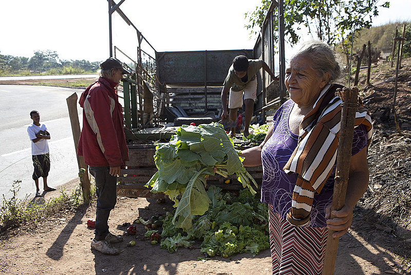 Joana acha alface no meio do monte de legumes trazidos na carroceria do caminhão por Onofre