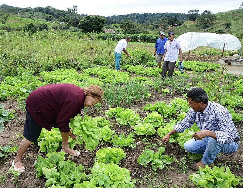 "Uma prática agrícola diferenciada que pode ser um contraponto ao que conhecemos como agronegócio"
