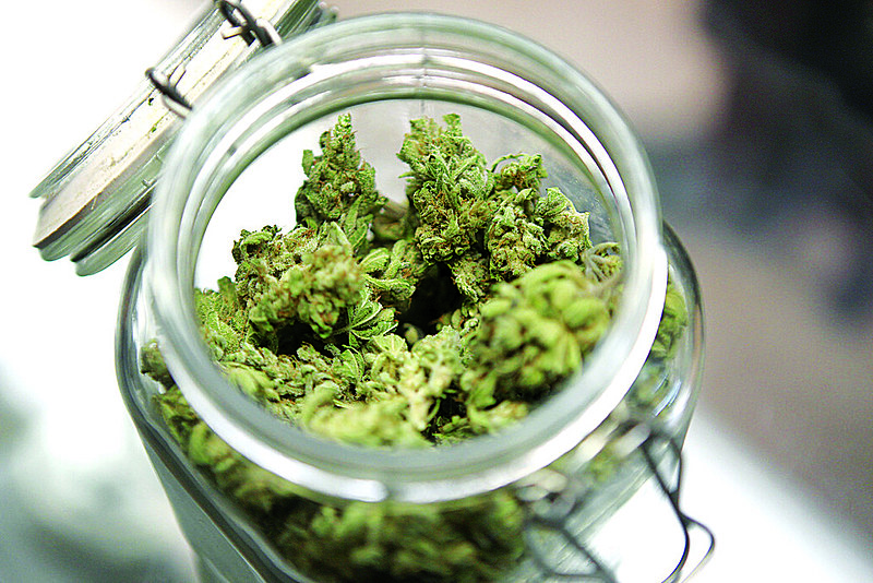 Sabe-se, até agora, que a maconha tem sido utilizada com sucesso no tratamento de doenças refratárias