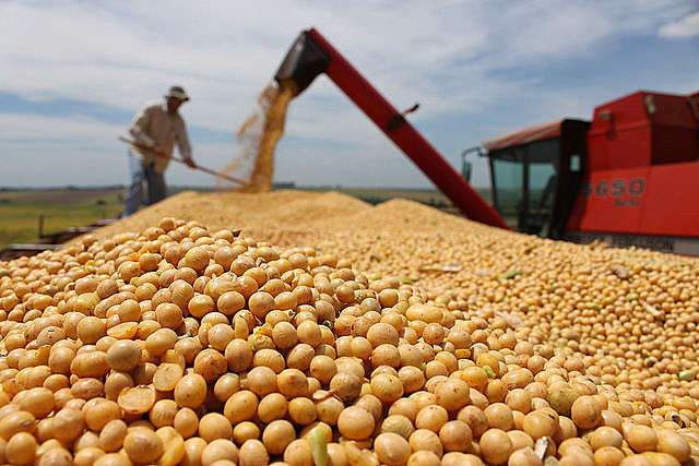 Temer deprioritizes Brazilian food sovereignty in efforts to satisfy foreign markets.