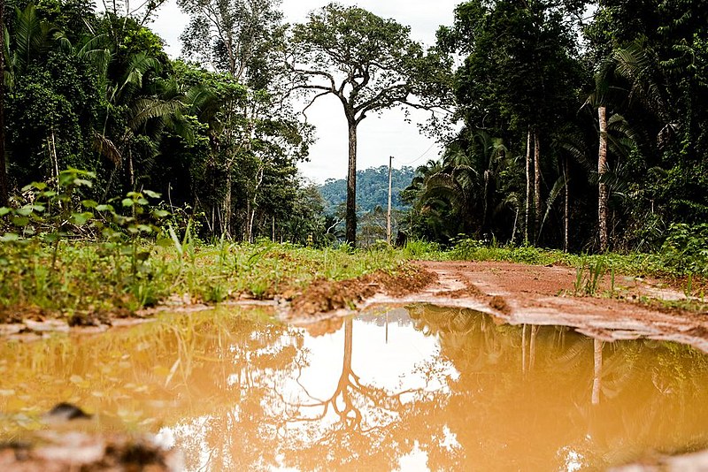 Nova regra pode possibilitar que Estado desmate até 50% das terras brasileiras