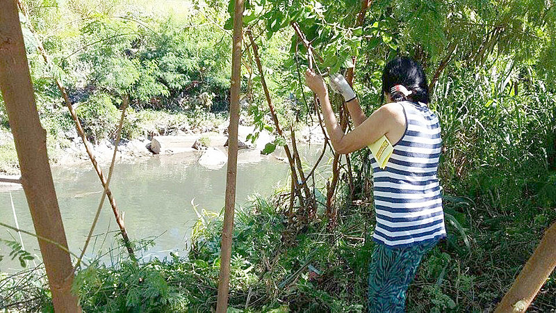 Ribeirão da Onça começa em Contagem, região metropolitana da capital mineira, e deságua no Rio das Velhas