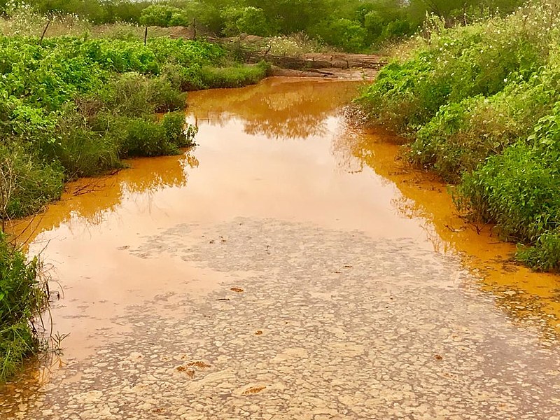 Em estudo realizado no início deste ano pela Nutec e pela Semace, revelaram contaminação por elementos químicos no Rio Poti.