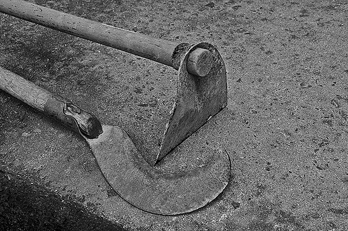 Fotos de Paulo Pires