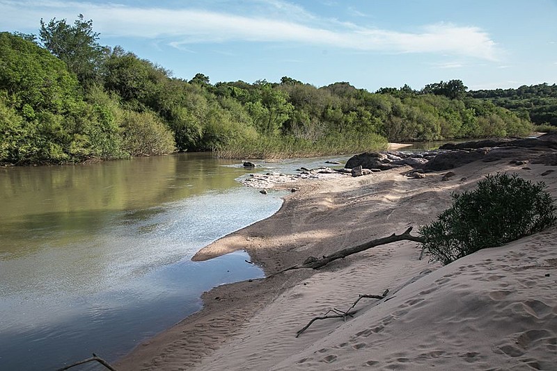 Projeto propões 480 alterações no Código Ambiental