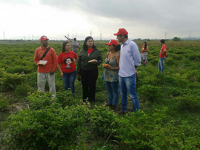 Brigadas de los Sin Tierra brasileños desarrollan trabajos en agroecología en tres regiones de Venezuela