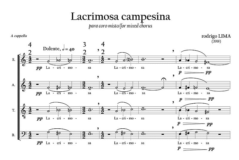 Trecho da partitura para coro à capela, composta pelo músico em contato com dados da Comissão Pastoral da Terra (CPT) dos últimos dois anos