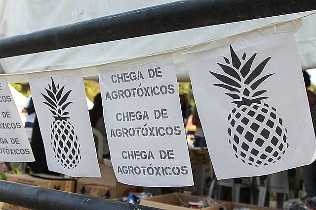Venda de "extremamente perigosas" gerou lucros de 4,9 bilhões à Syngenta. Mais de um terço desse valor obtido em comércio com o Brasil