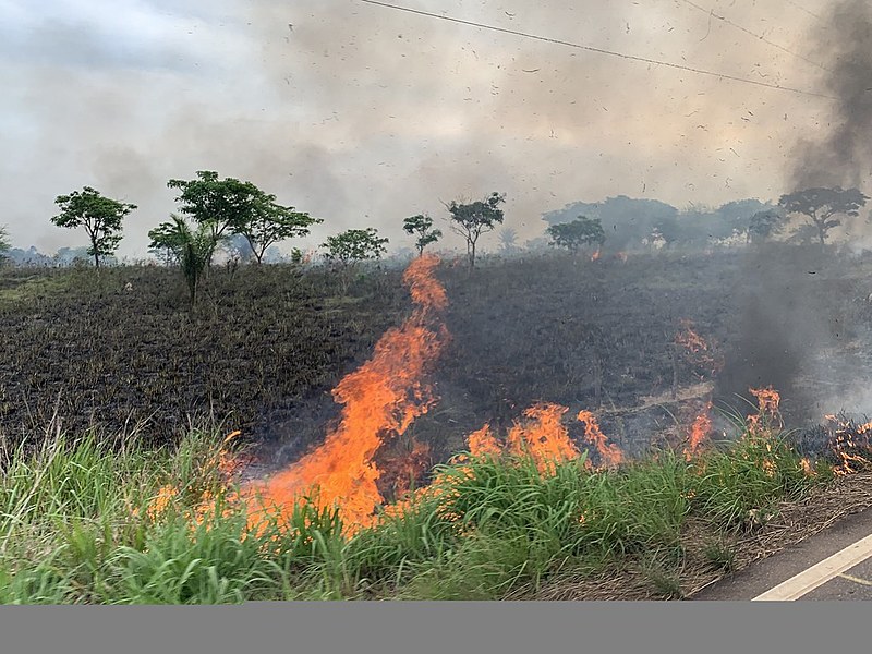 Queimada registrada em 26 de outubro na BR-155, em Eldorado do Carajás, no Pará. Rodovia vai de Marabá até Redenção
