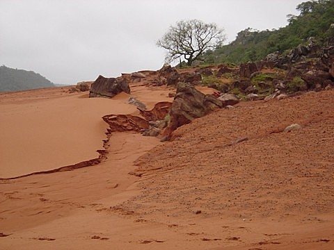 Estima-se que pelo menos seis mil hectares da zona rural estejam tomados pela areia em todo o estado.