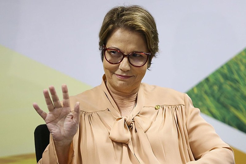 Ministra defendeu uso de agrotóxicos como imprescindível para agricultura brasileira