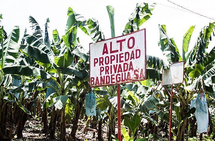 Tratados de livre-comércio apenas aumentaram a fragilidade das economias de México e América Central