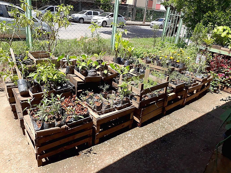 Um terreno com hortaliças e portões sempre abertos é um convite para uma clientela preocupada com a alimentação saudável