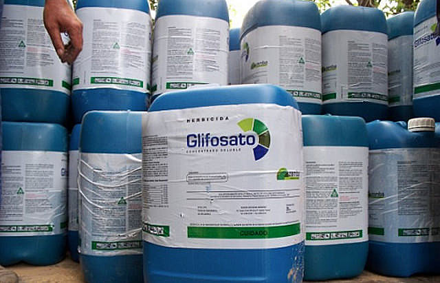 Agrotóxico mais vendido no mundo e no Brasil, o glifosato é proibido em vários países e está para ser banido na França