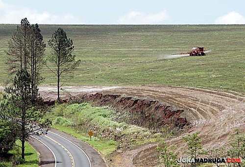 De 2007 a 2017 foram notificados cerca de 40 mil casos de intoxicação aguda por agrotóxicos
