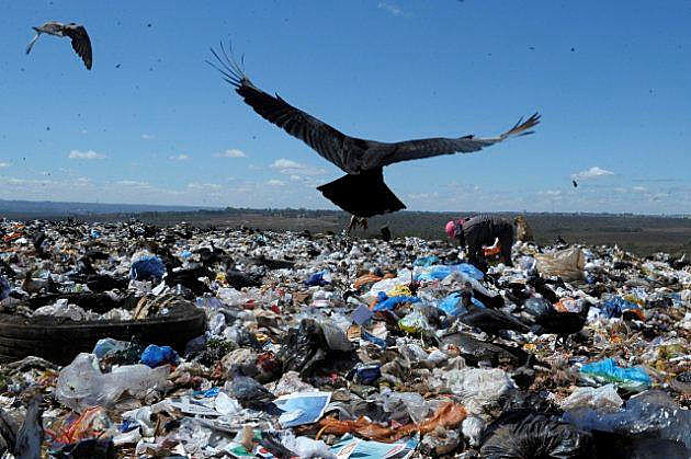 Recolección de material reciclable en un basural es la opción de la población  que sufre altos niveles de desempleo para tener ingresos