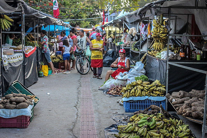 Somente na 19ª Feira da Reforma Agrária, organizada pelo MST em Maceió, os jovens comercializaram cerca de 150 litros de mel