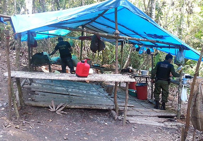 Policiais civis e militares resgatam pessoas em situação de trabalho escravo em Rurópolis - PA